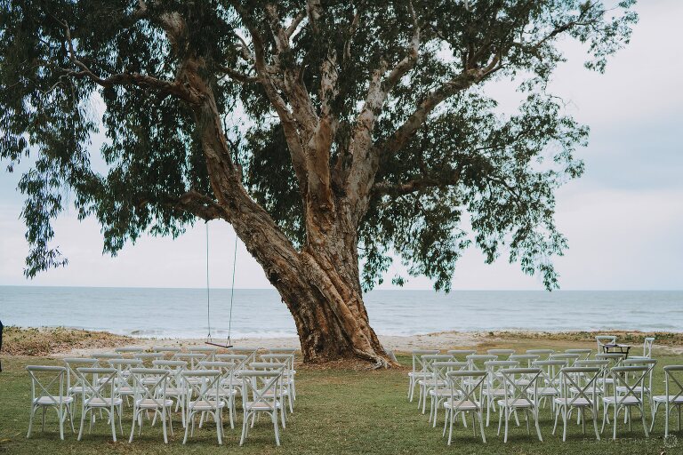 ellis beach yacht club wedding