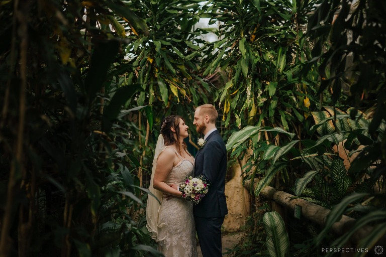 Kuranda Butterfly Sanctuary wedding