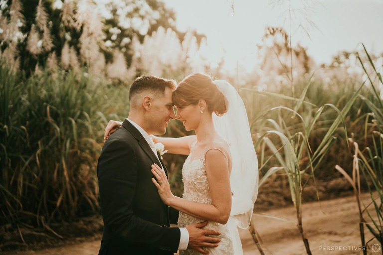 Port Douglas Sugar Cane wedding photos